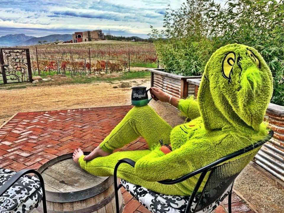 Finca Vidandrei Casa Mazahua 瓜达鲁佩镇 外观 照片