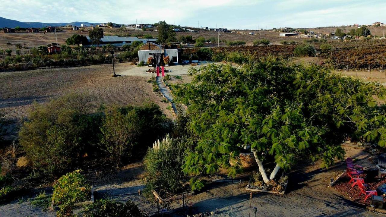 Finca Vidandrei Casa Mazahua 瓜达鲁佩镇 外观 照片